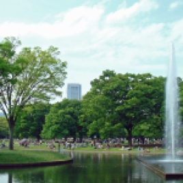Fountain_Yoyogipark